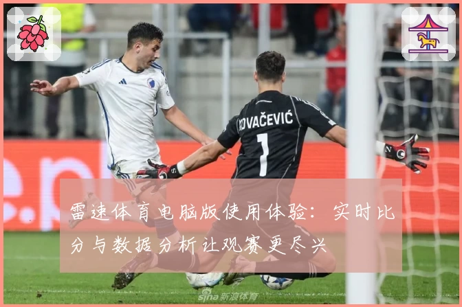 雷速体育电脑版使用体验：实时比分与数据分析让观赛更尽兴
