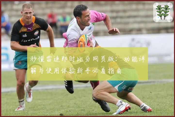 秒懂雷速即时比分网页版：功能详解与使用体验新手必看指南